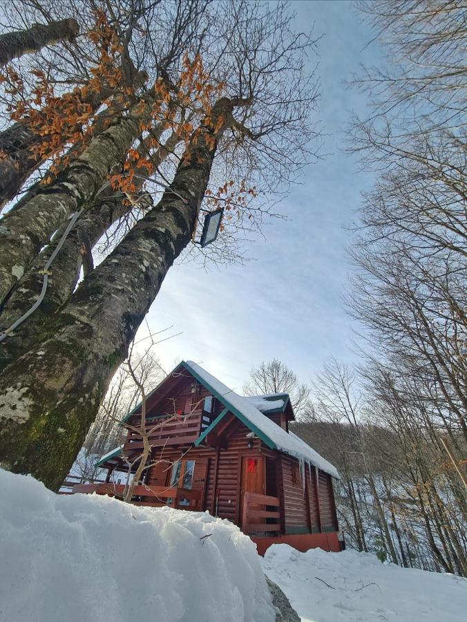 Vikendica Crkvina Villa Kolašin Eksteriør billede